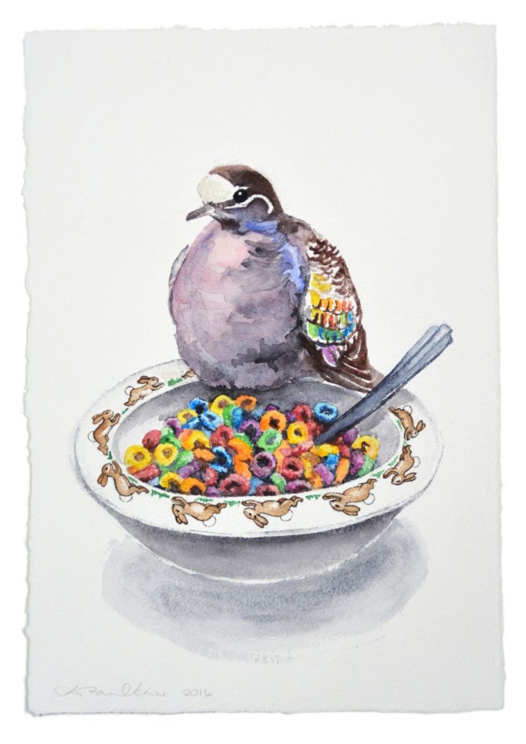 Fruit Loops 2016 Denise Faulkner